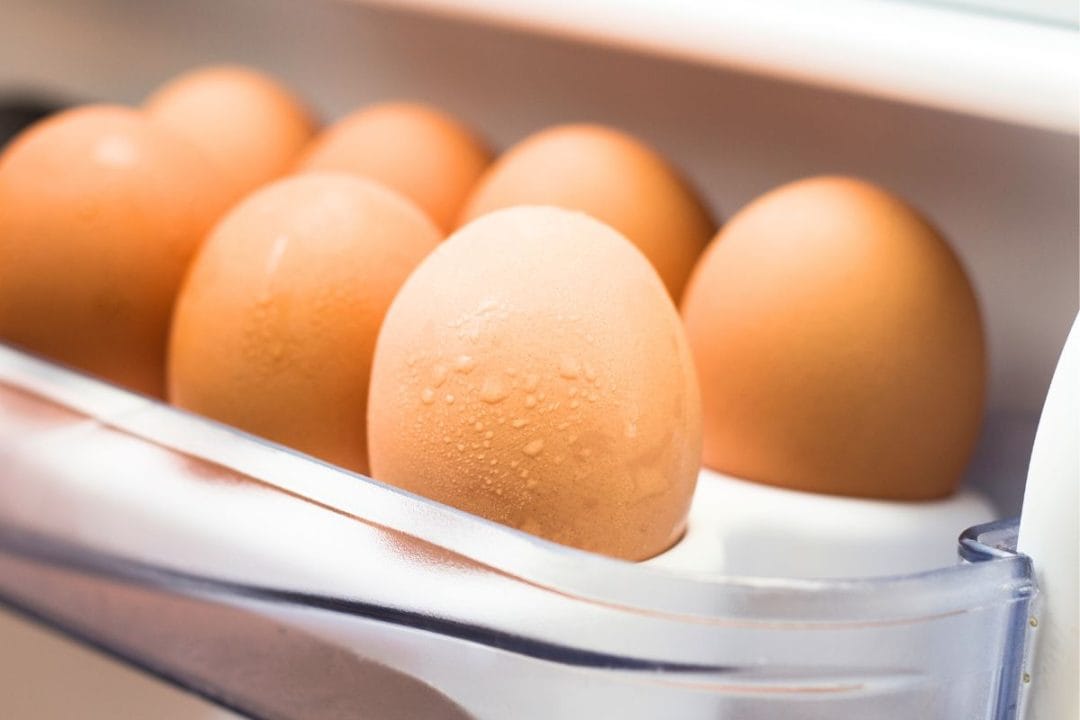 Conserver les œufs au frigo