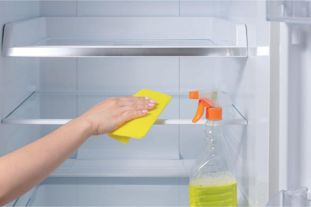 Comment éviter la prolifération de bactéries dans le frigo