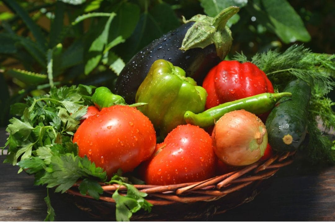 Ce légume d’été perd en fraîcheur si vous le mettez au frigo