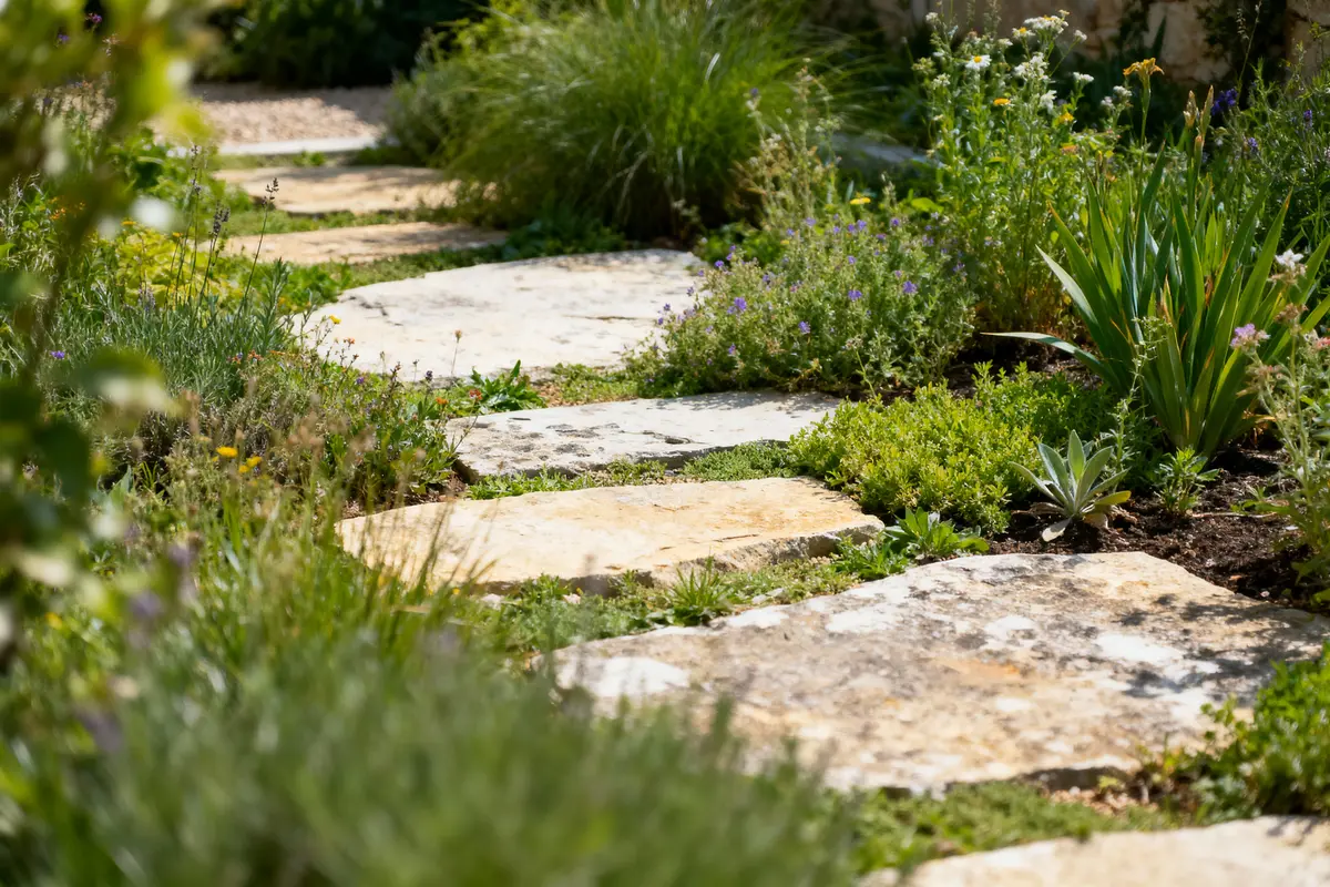 Sentier en pierre dans un jardin verdoyant avec diverses plantes et fleurs autour.