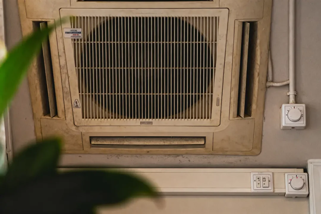 Grille de ventilation murale avec deux commandes rotatives, partiellement cachée par une plante verte au premier plan.