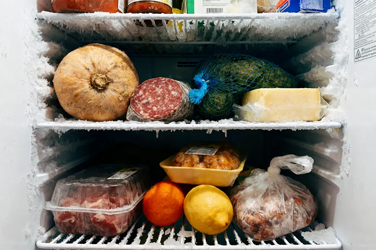 Aliments variés dans un congélateur : légumes, viande emballée, agrumes, fromage sous emballage plastique.